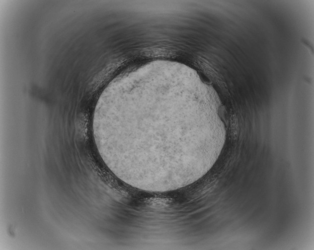 X0000100760255200807171348