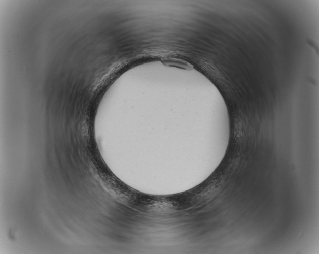 X0000100760256200807171348