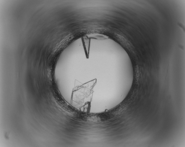X0000100760258200807171348