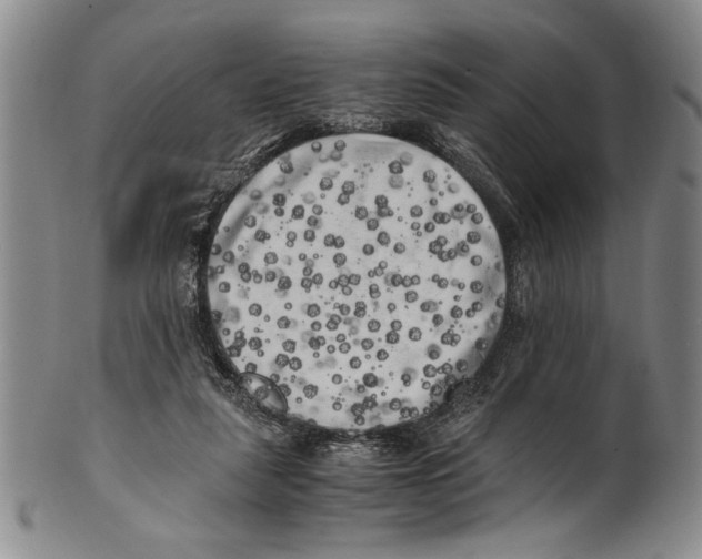 X0000100760259200807171348