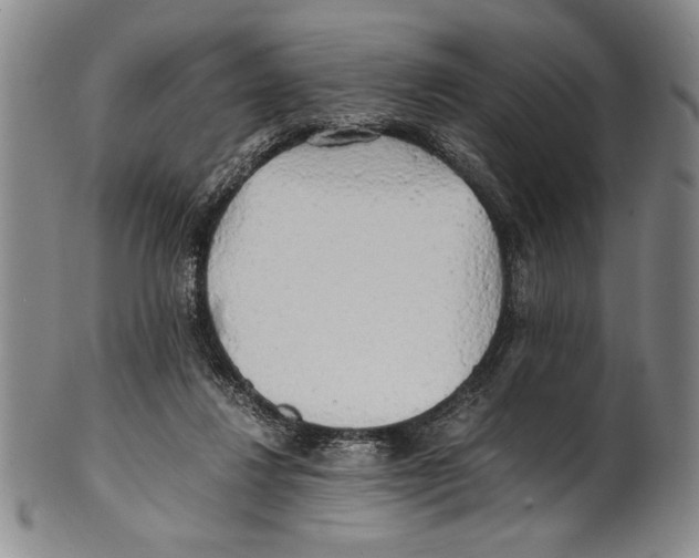 X0000100760260200807171348