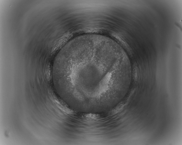 X0000100760261200807171348