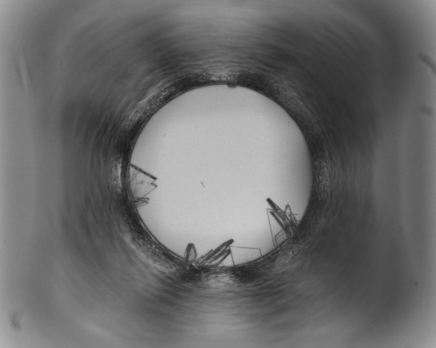 X0000100760262200807171348