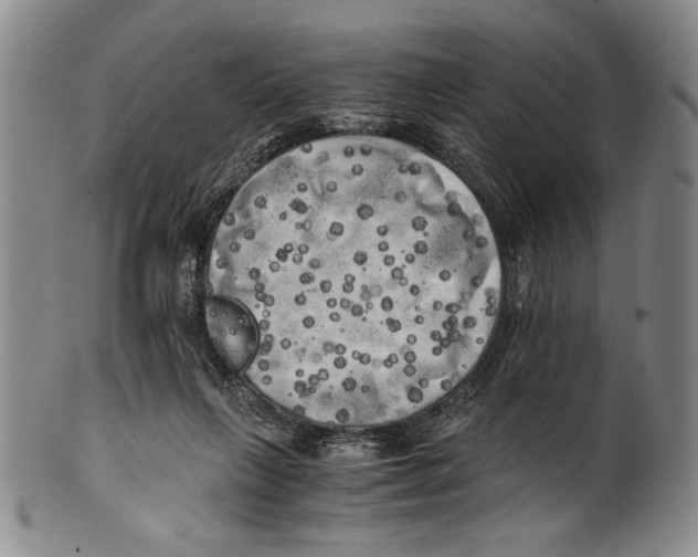 X0000100760263200807171348