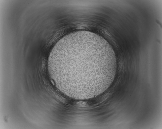 X0000100760265200807171348