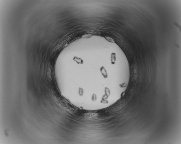 X0000100760266200807171348