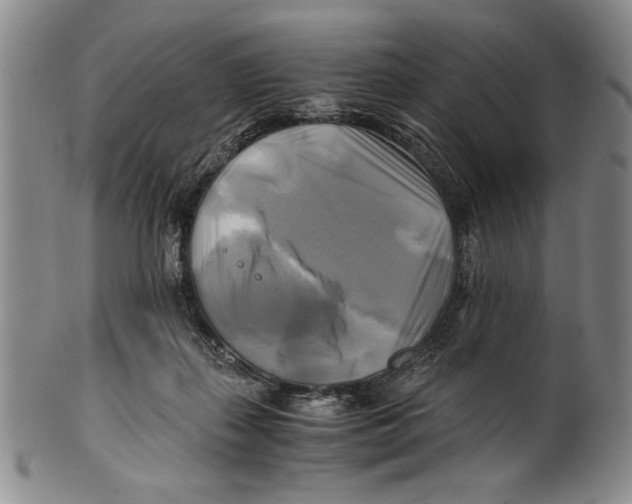 X0000100760267200807171348