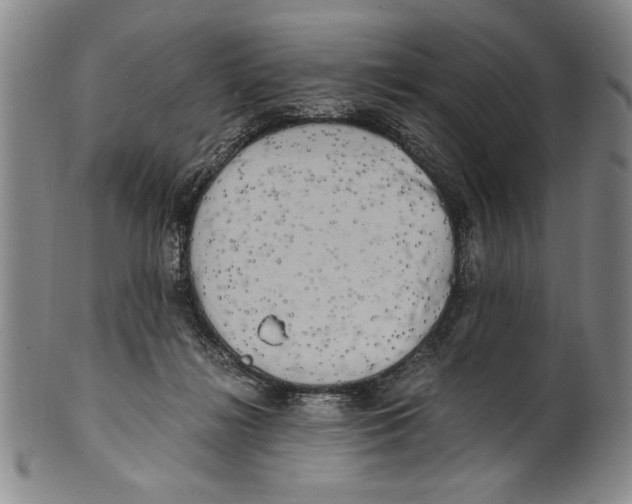 X0000100760268200807171348
