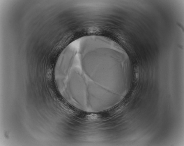X0000100760269200807171348