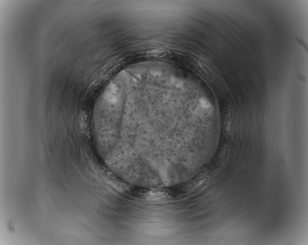 X0000100760270200807171349