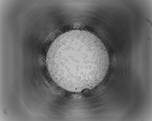 X0000100760272200807171349