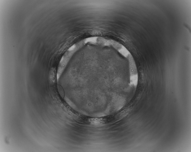 X0000100760273200807171349