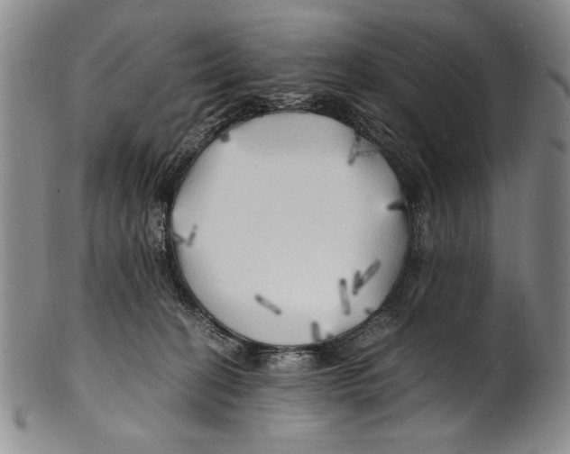 X0000100760274200807171349