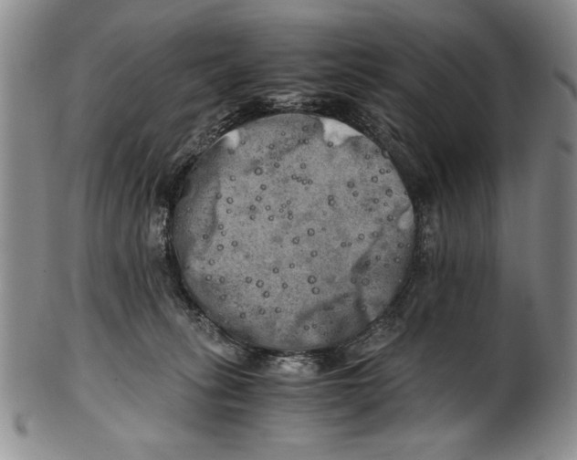 X0000100760275200807171349