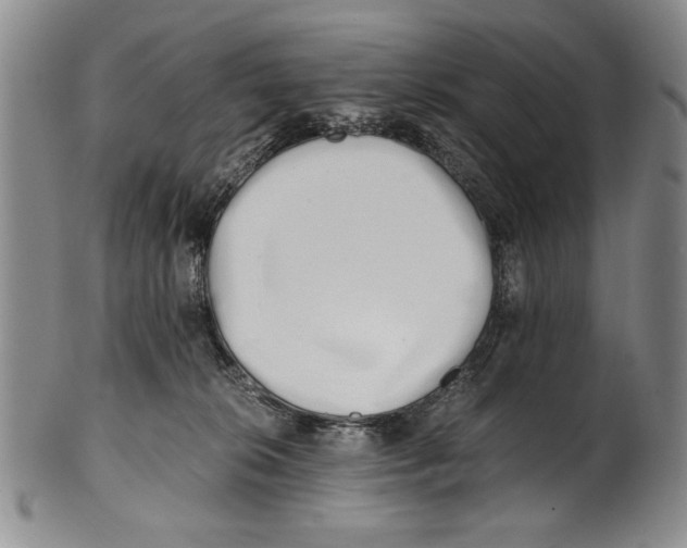 X0000100760276200807171349