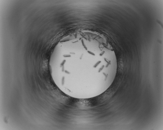 X0000100760278200807171349