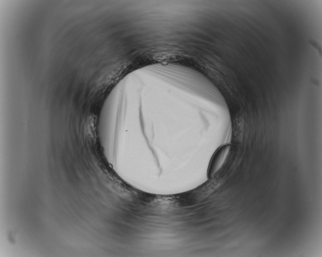X0000100760280200807171349