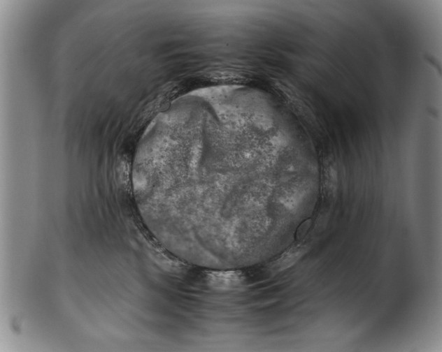 X0000100760281200807171349