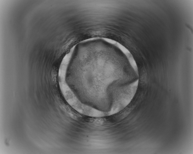 X0000100760282200807171349