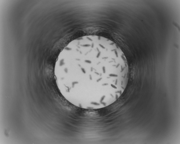 X0000100760283200807171349