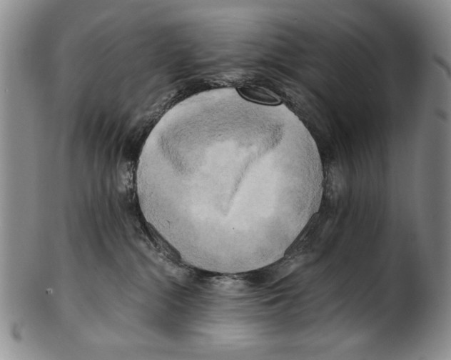X0000100760284200807171349