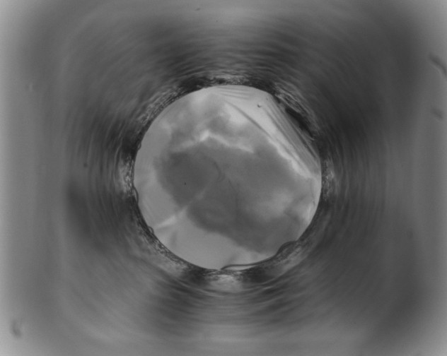 X0000100760285200807171349