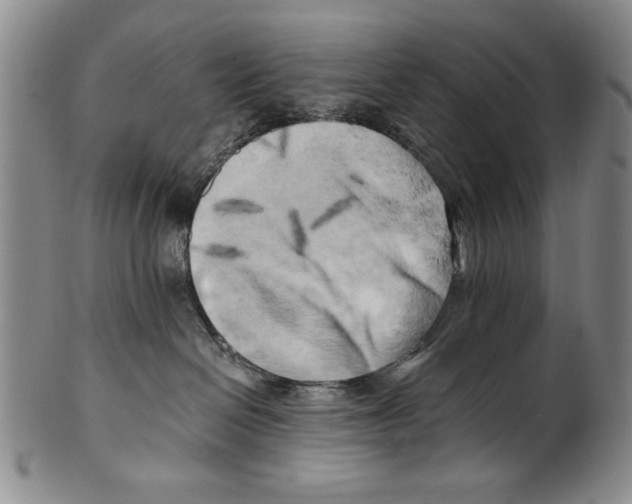 X0000100760286200807171349