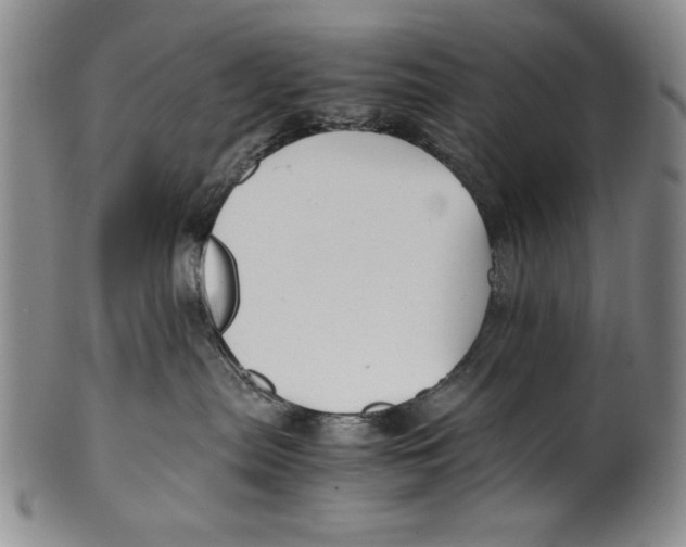 X0000100760287200807171349