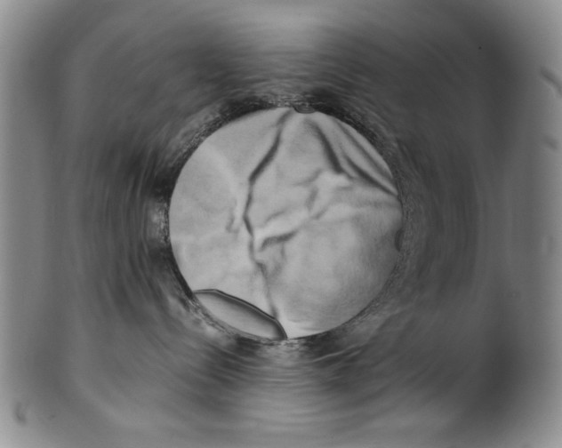 X0000100760288200807171349