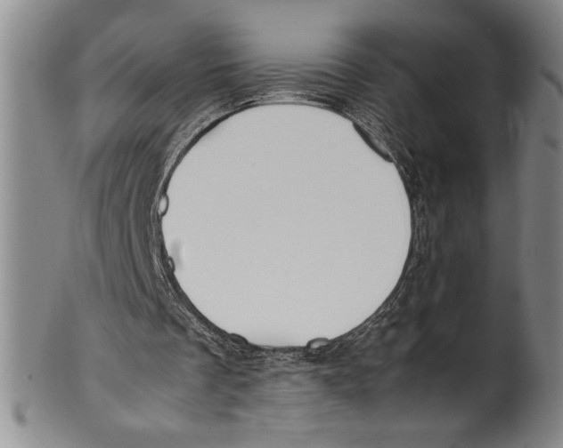 X0000100760289200807171348