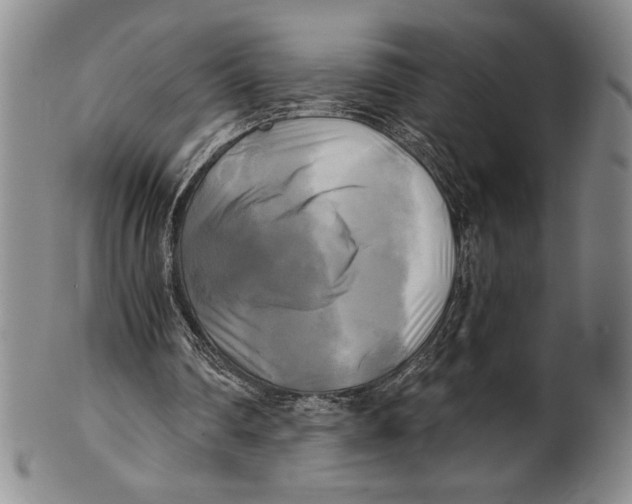 X0000100760290200807171348
