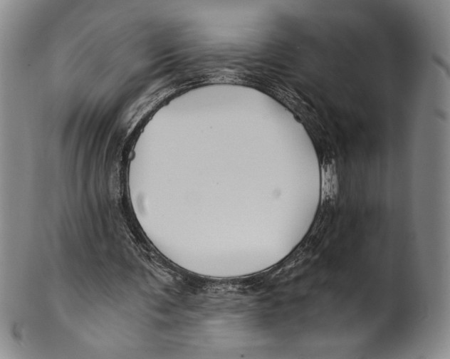X0000100760291200807171348