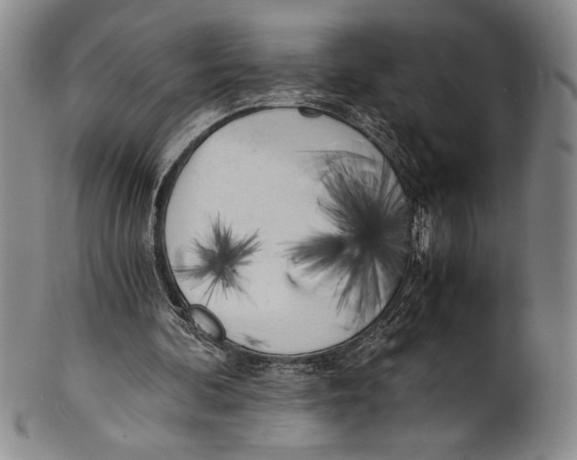 X0000100760292200807171348
