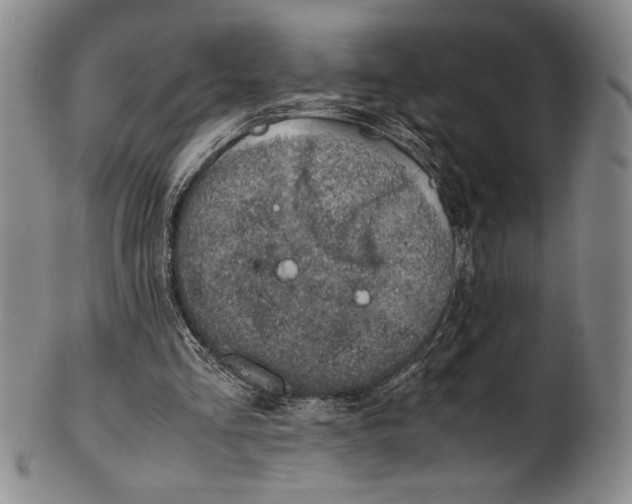 X0000100760293200807171348