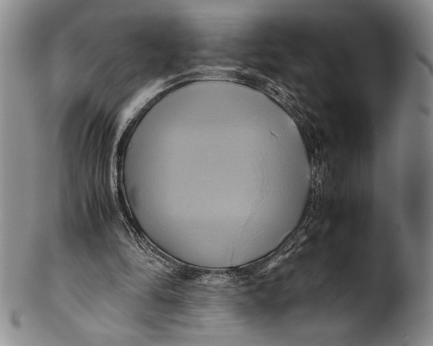 X0000100760294200807171348