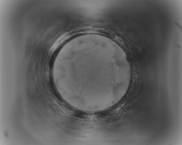 X0000100760295200807171348