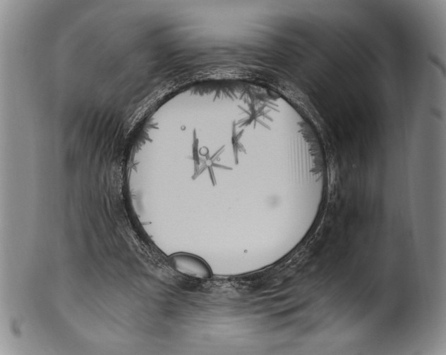 X0000100760297200807171348