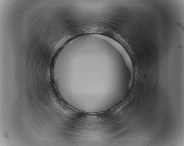 X0000100760298200807171348