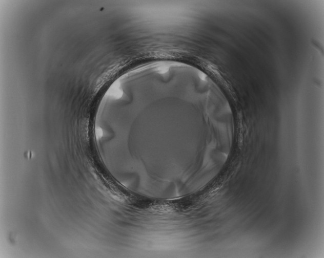 X0000100760299200807171348