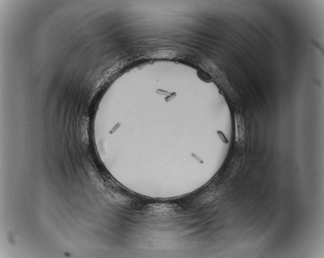 X0000100760300200807171348