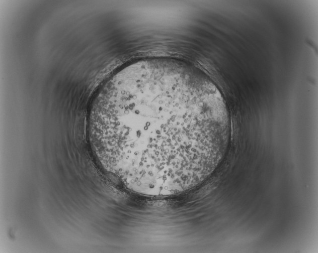 X0000100760301200807171348