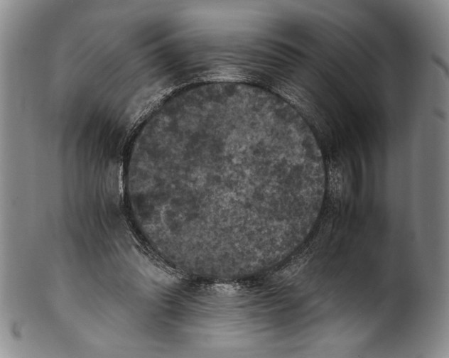 X0000100760302200807171348