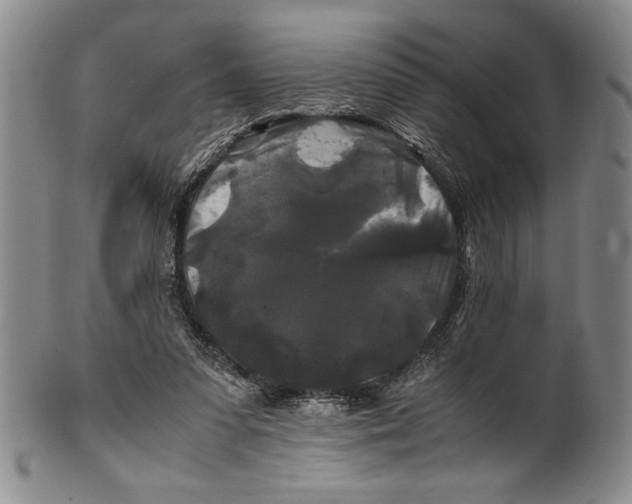 X0000100760303200807171348
