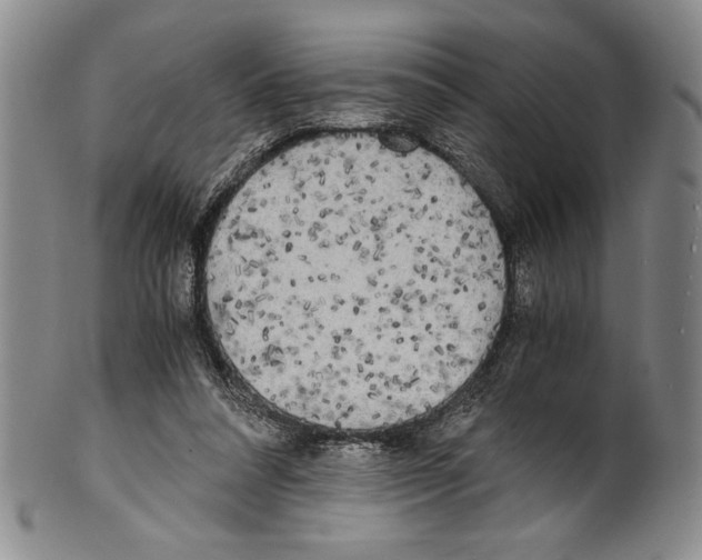 X0000100760304200807171348