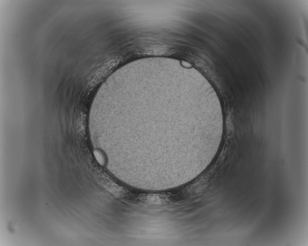 X0000100760305200807171348