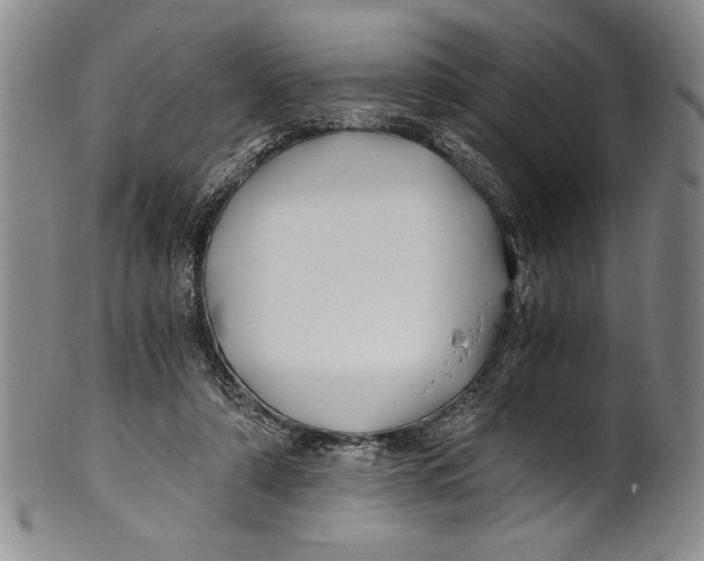 X0000100760306200807171348