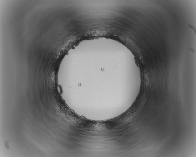X0000100760308200807171348