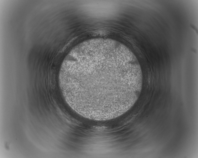 X0000100760312200807171348