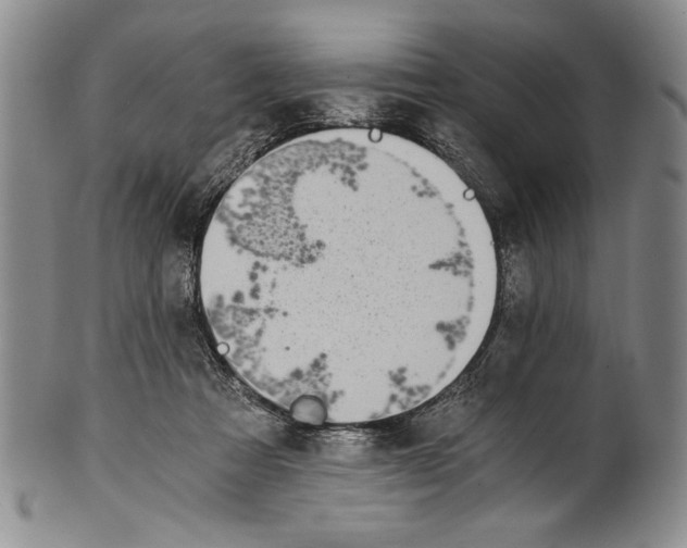 X0000100760313200807171348