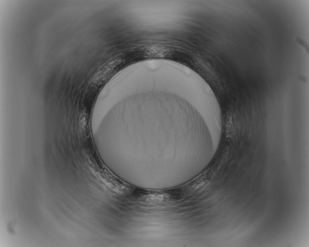 X0000100760314200807171348